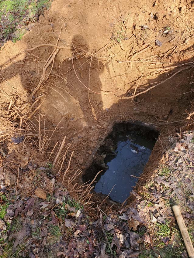 Impact of additives on septic tank health and effectiveness