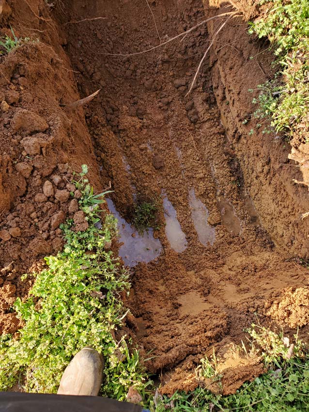 Pooling water or soggy ground near the septic tank